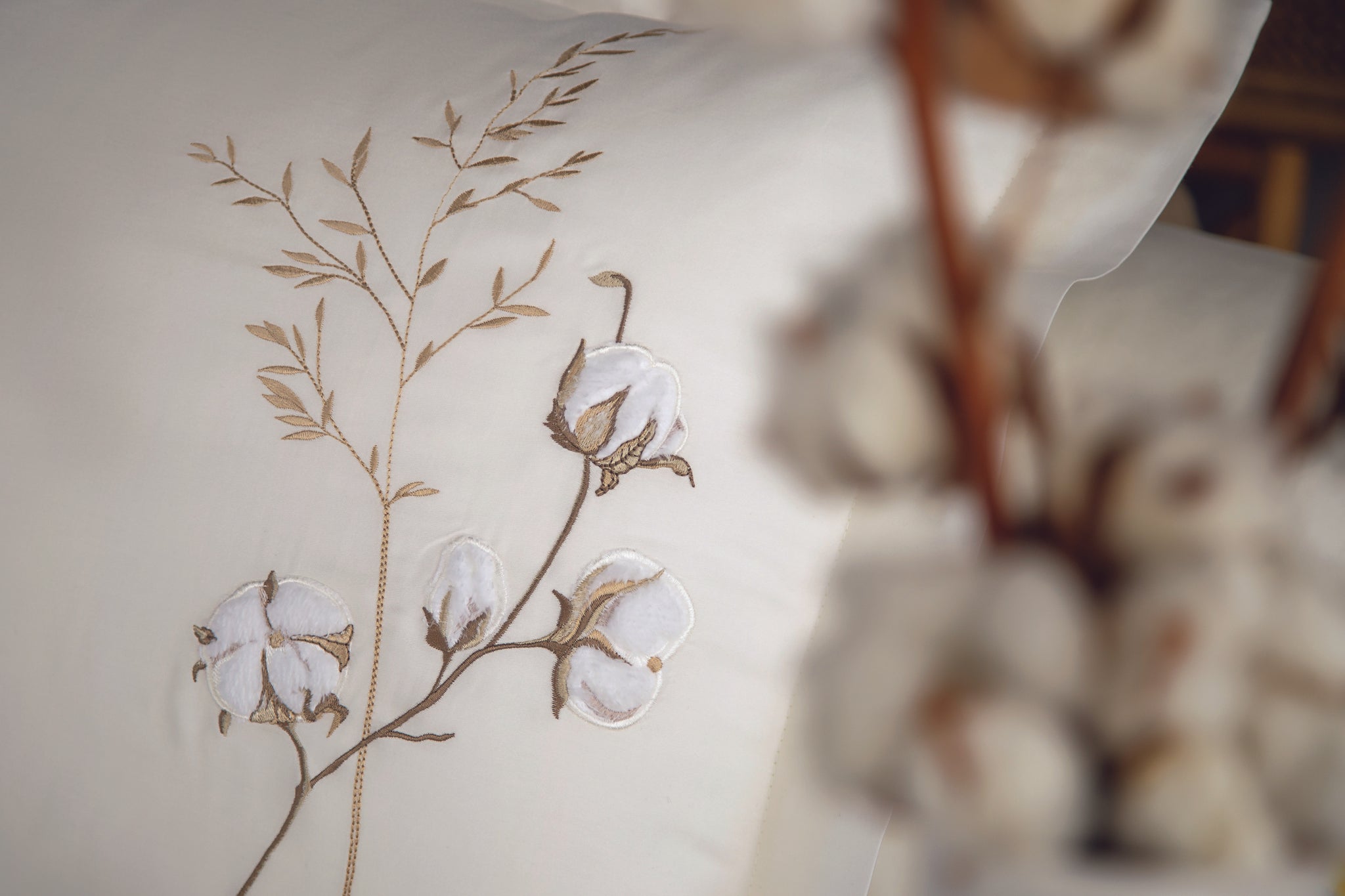 Moneda Nakışlı Pamuk Saten Nevresim Takımı - Krem